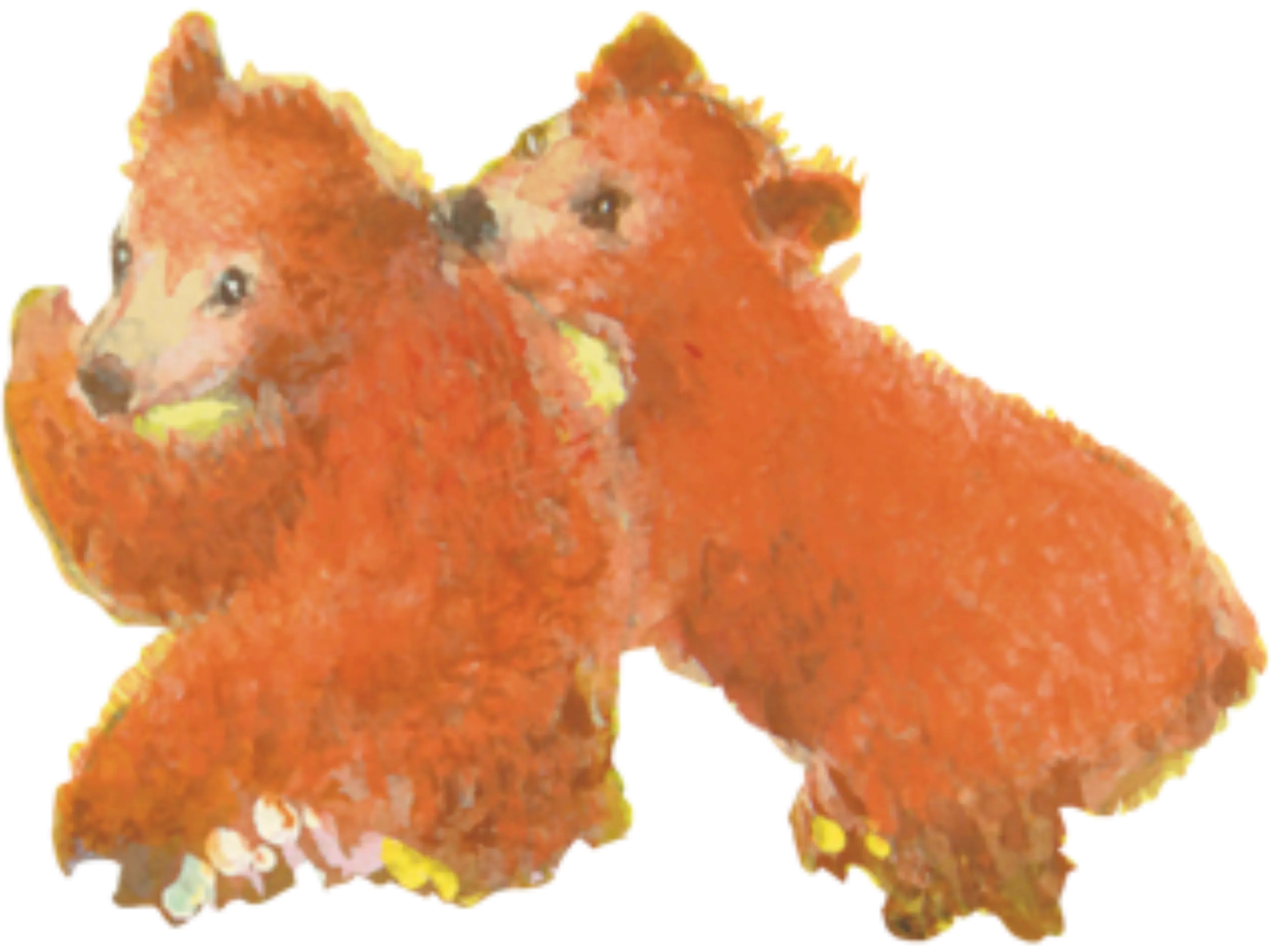 bear