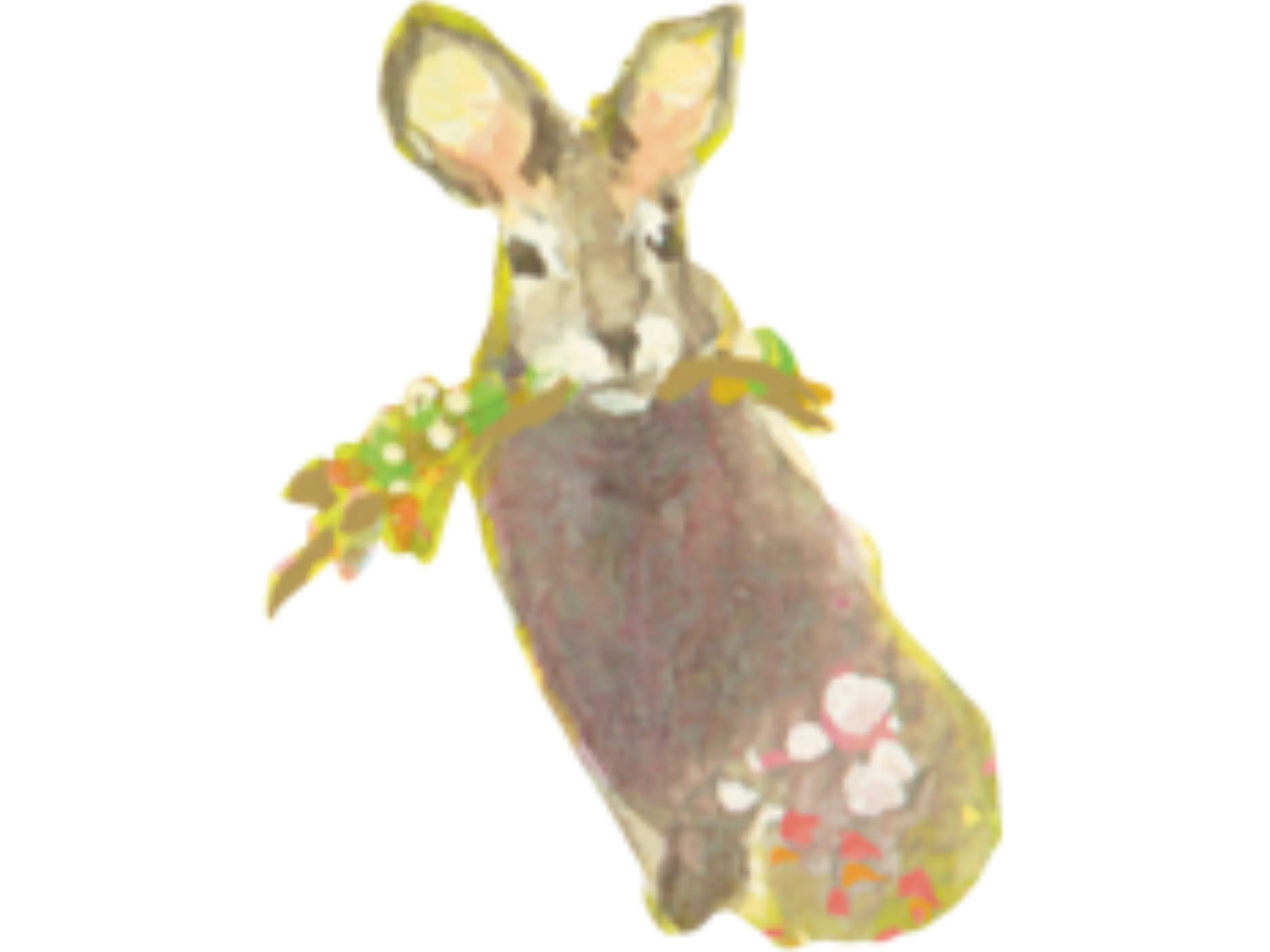 rabbit